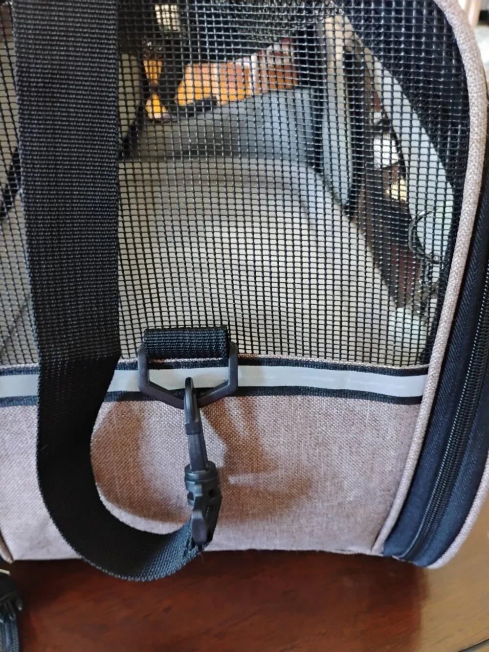 Pet carrier for small dogs/cats